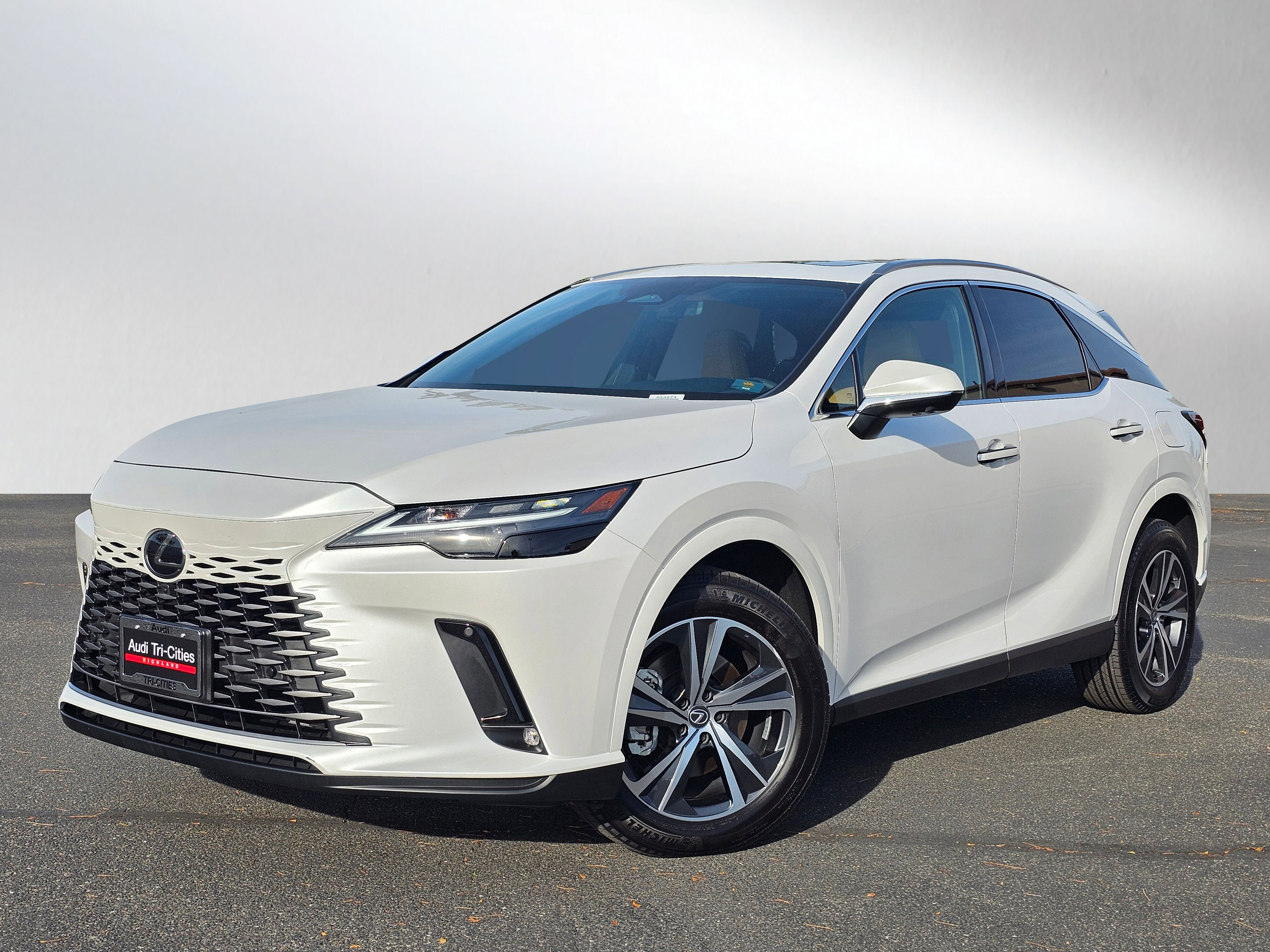 2023 Lexus RX 350's photo