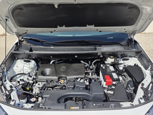 2024 Toyota RAV4 XLE photo 25