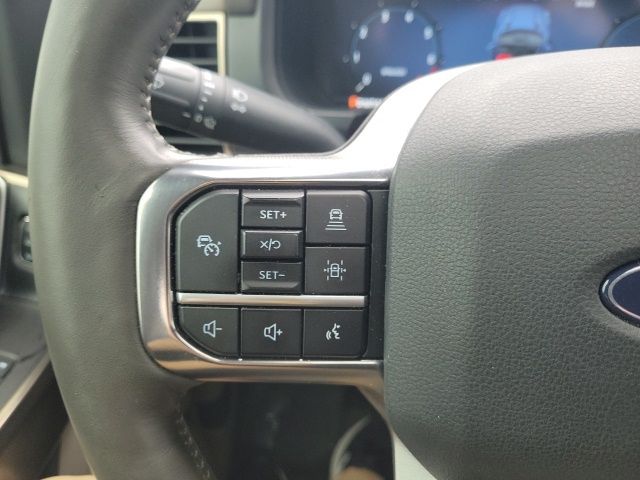 2024 Ford F-150 Platinum photo 12