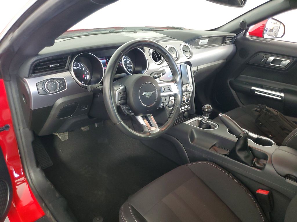 2019 Ford Mustang GT photo 11