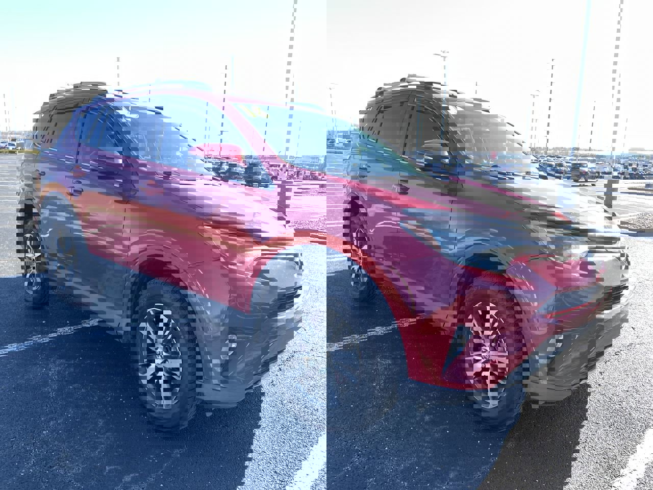 2016 Toyota RAV4 XLE's photo