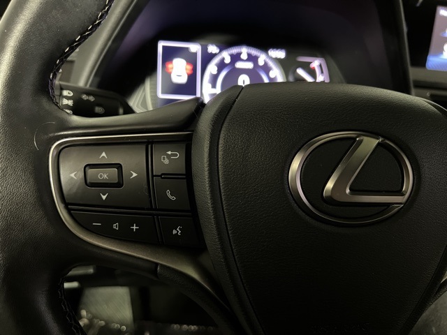 2021 Lexus UX 200 photo 19