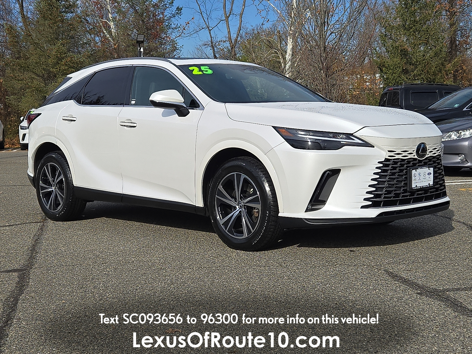2025 Lexus RX 350's photo