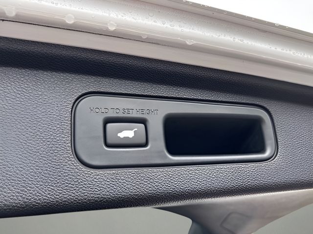2023 Honda Odyssey Elite photo 23