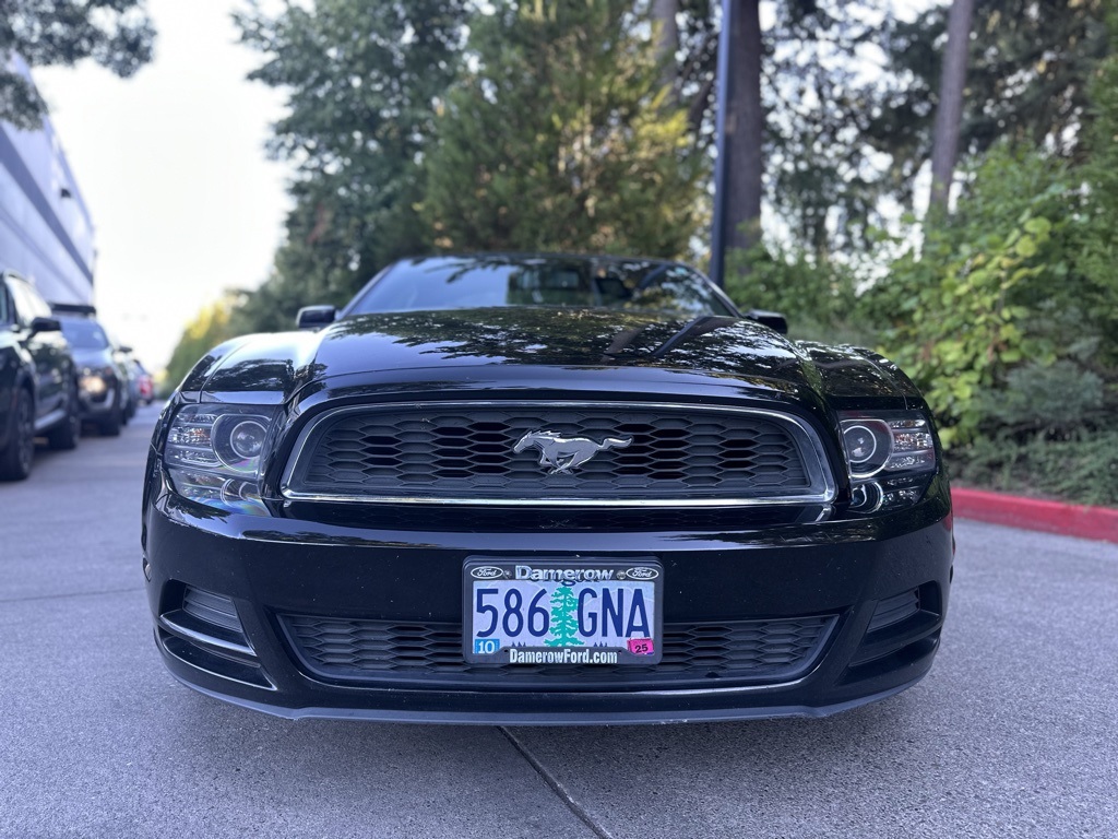 2014 Ford Mustang V6 Premium photo 3