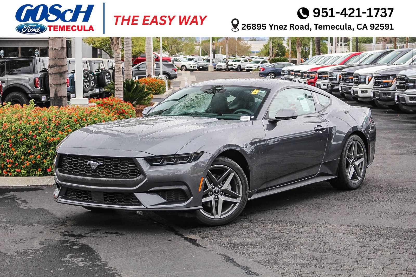 2026 Ford Mustang EcoBoost's photo