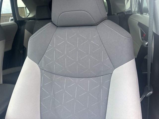 2019 Toyota RAV4 XLE photo 6