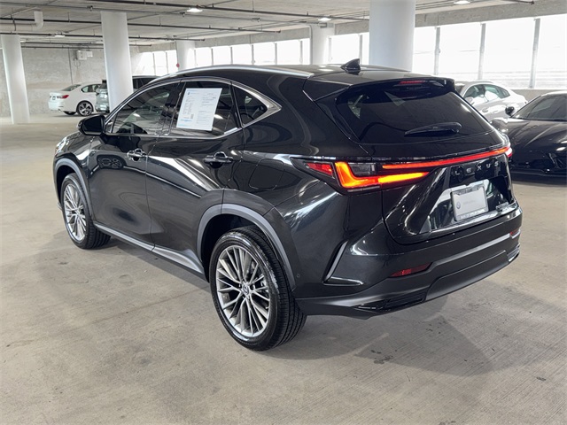 2023 Lexus NX 350h Luxury photo 5