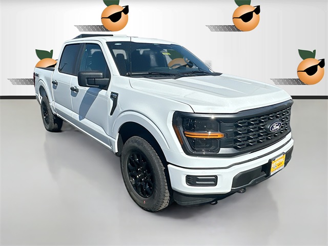 2025 Ford F-150 STX's photo