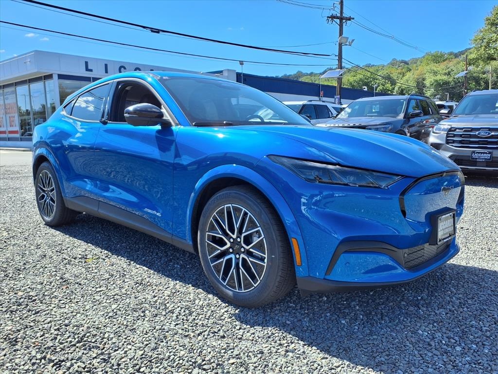 2025 Ford Mustang Mach-E Premium AWD's photo