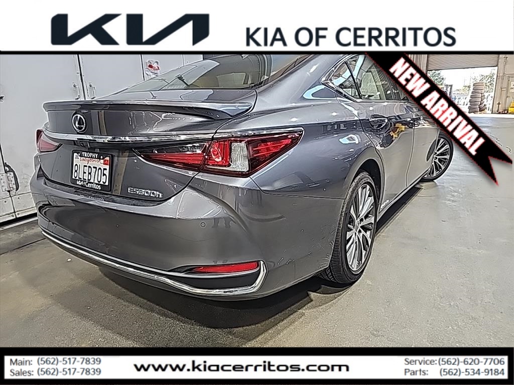 2019 Lexus ES 300h photo 3