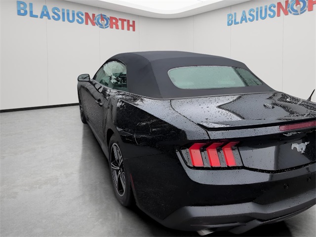 2024 Ford Mustang EcoBoost Premium photo 8