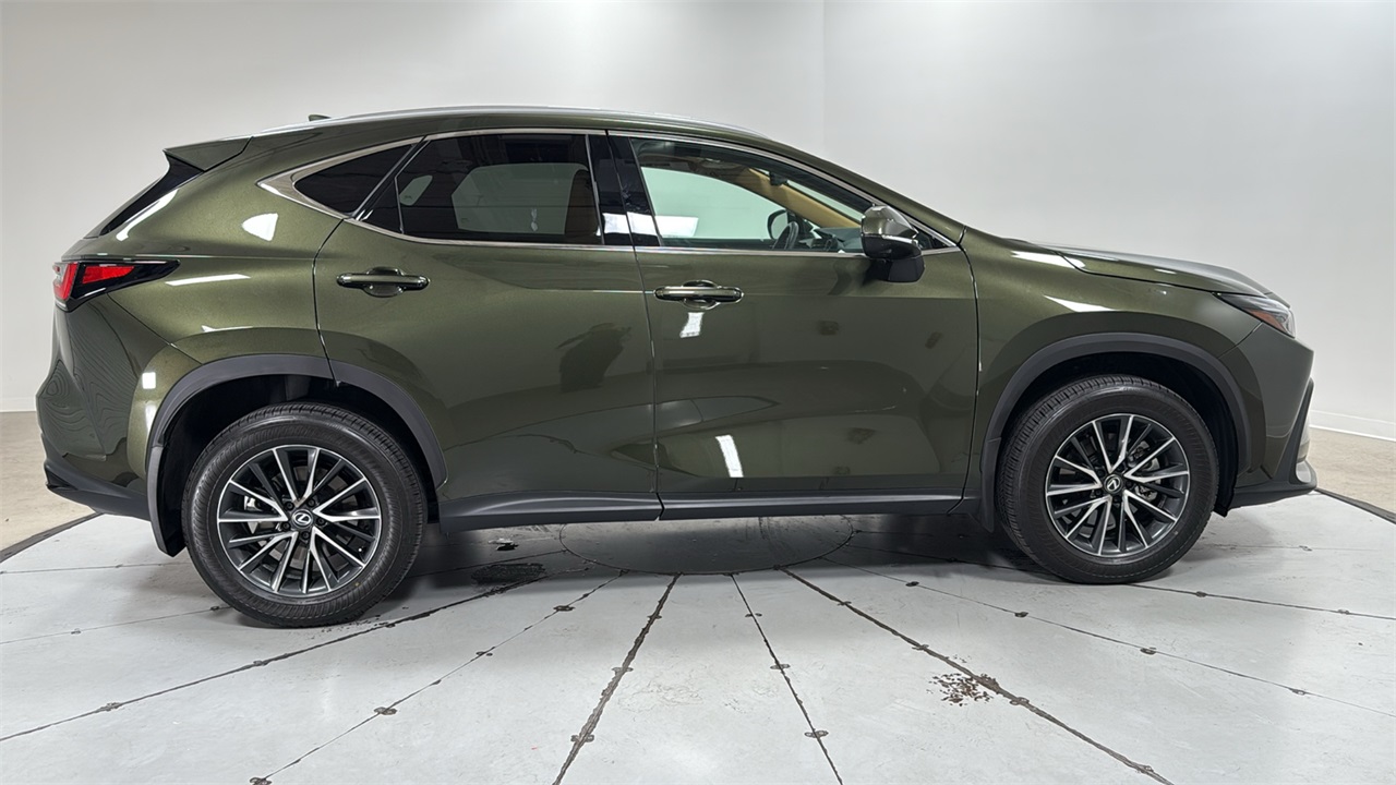 2024 Lexus NX 350 Luxury photo 4