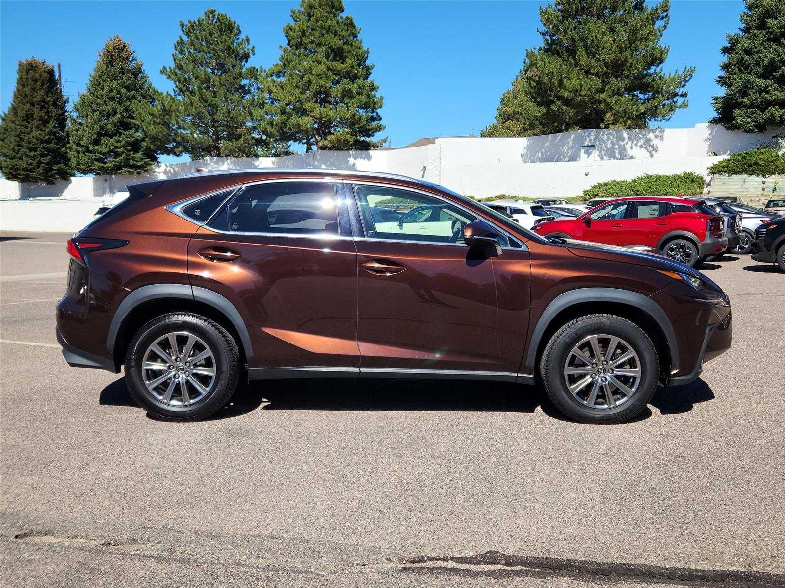 2018 Lexus NX 300 Luxury photo 2