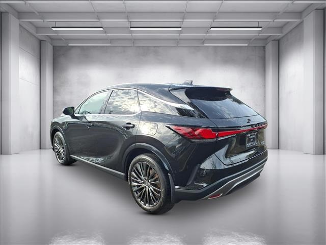 2023 Lexus RX 350 Luxury photo 4