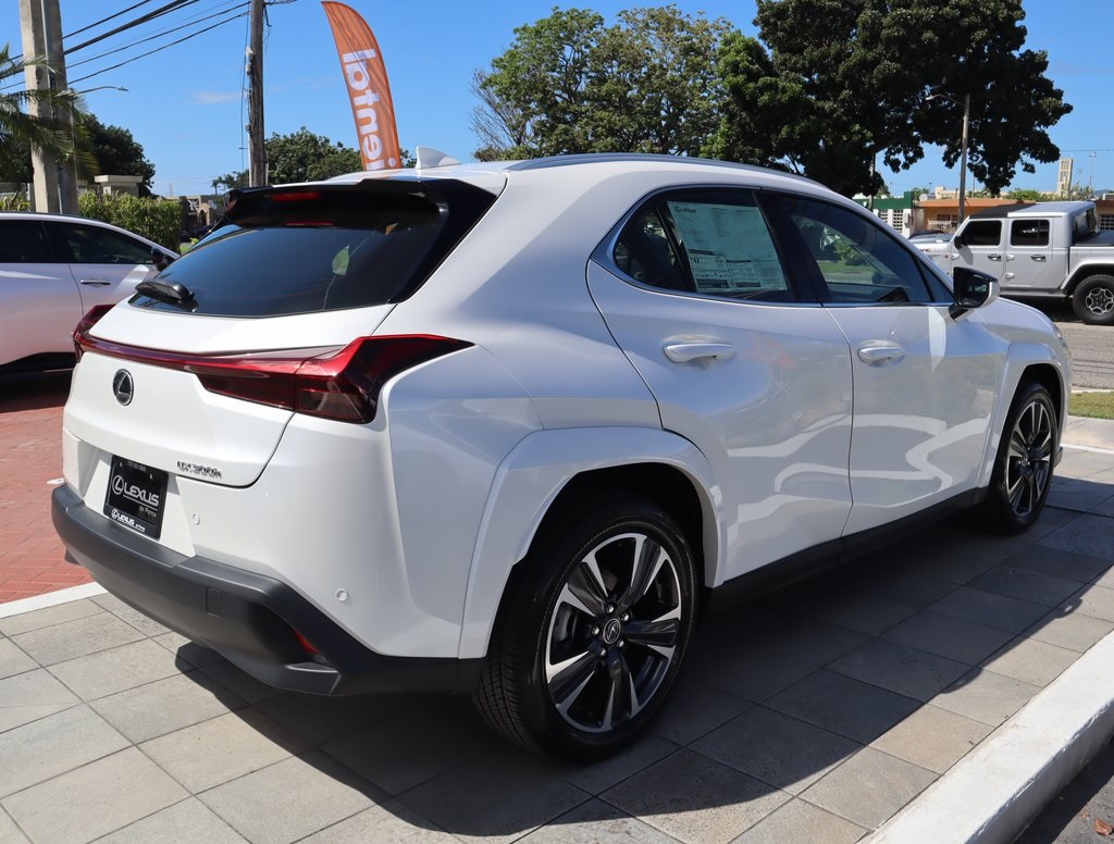 2025 Lexus UX photo 5