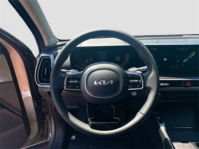 2025 Kia Sorento Hybrid EX photo 11