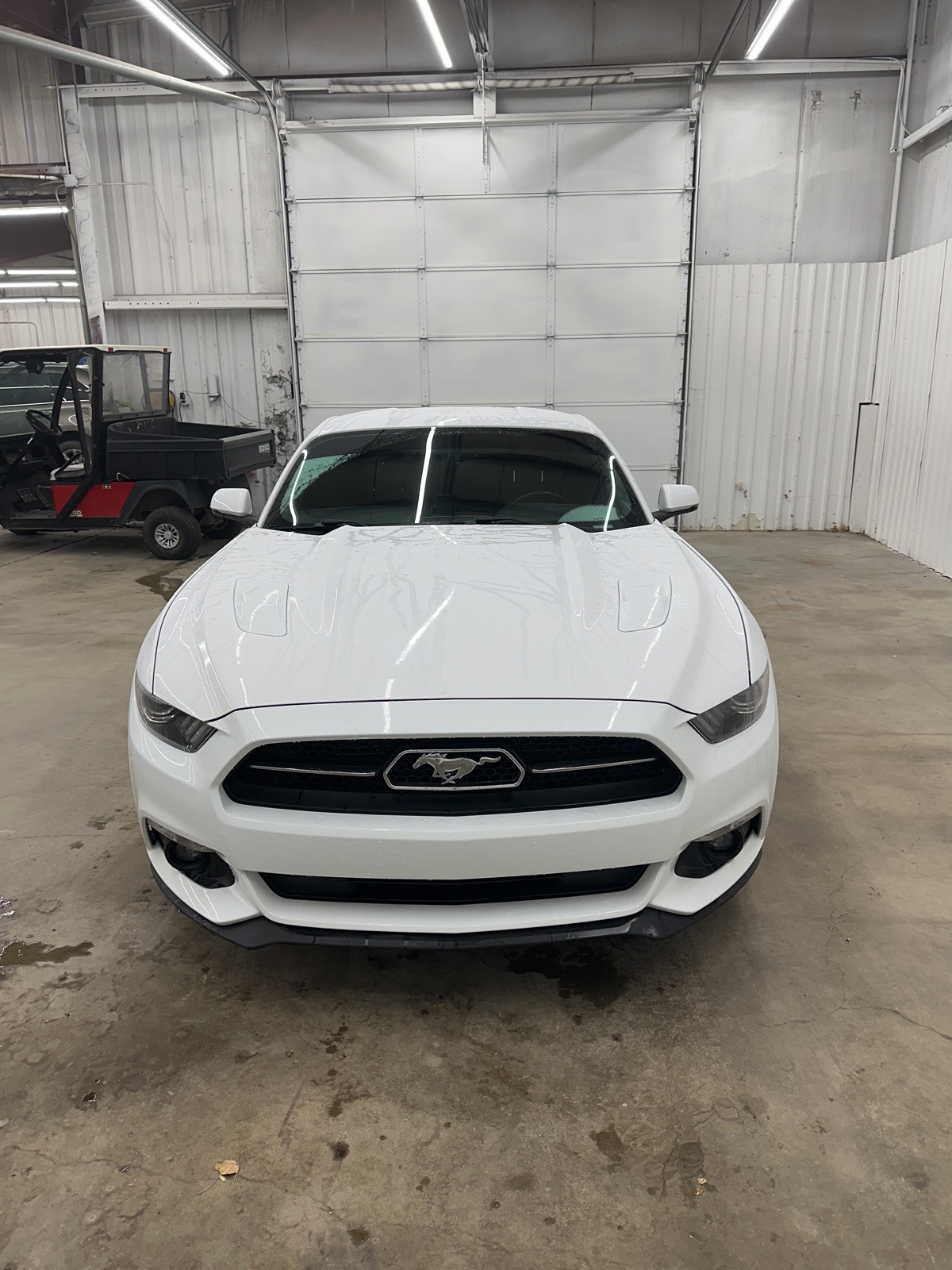 2015 Ford Mustang GT Premium photo 3