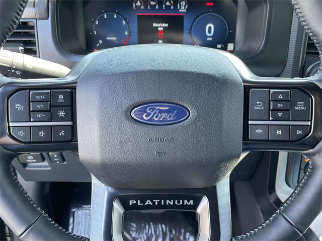 2025 Ford F-150 Platinum photo 13