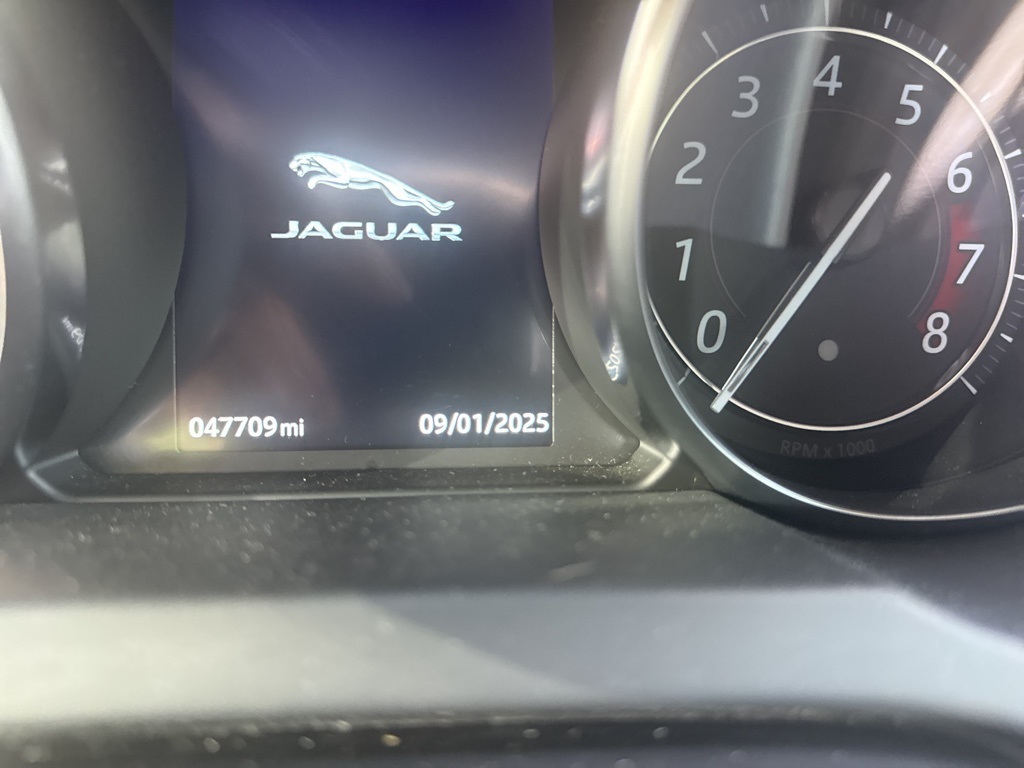 2019 Jaguar F-TYPE P300 photo 6