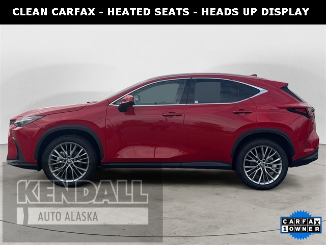 2024 Lexus NX 350 Luxury photo 2