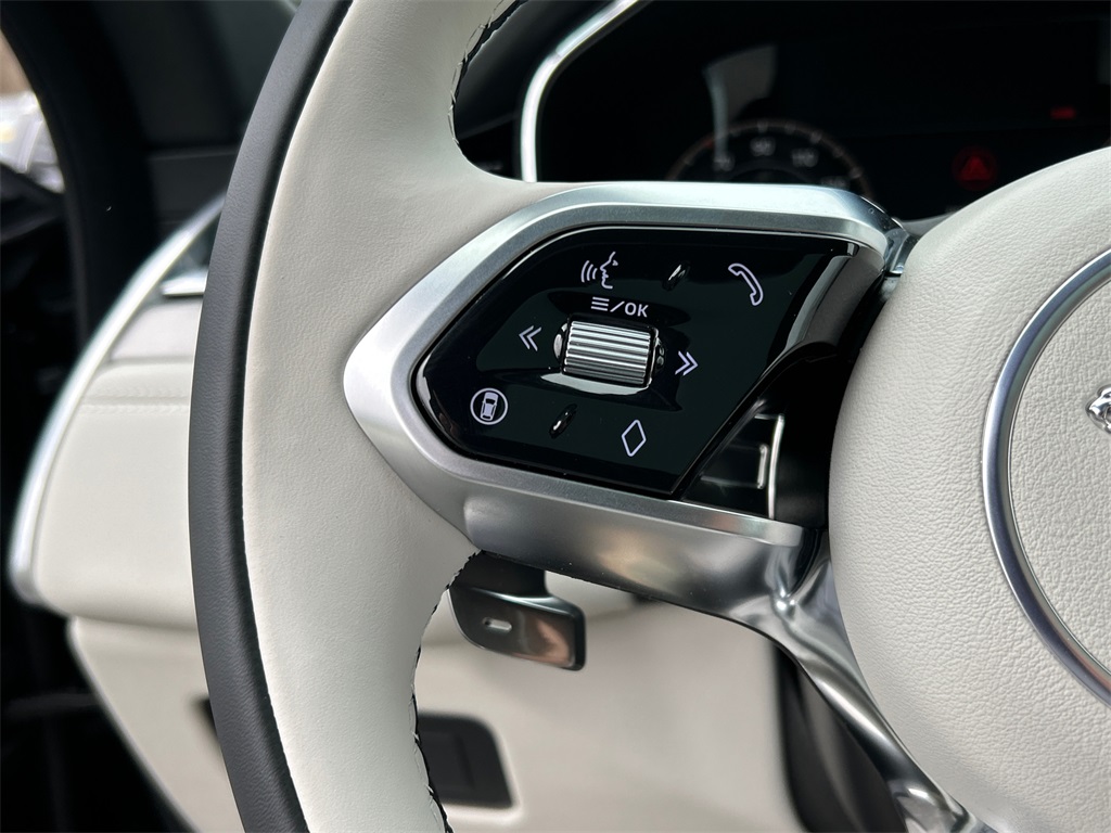 2026 Jaguar F-PACE P250 R-Dynamic S photo 13