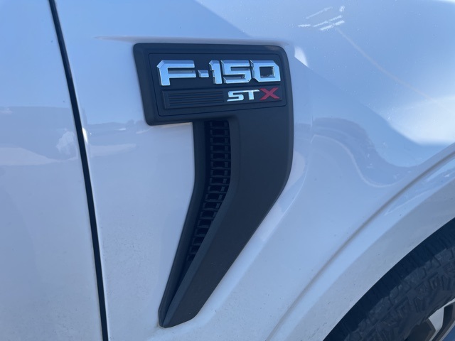 2021 Ford F-150 XL photo 3