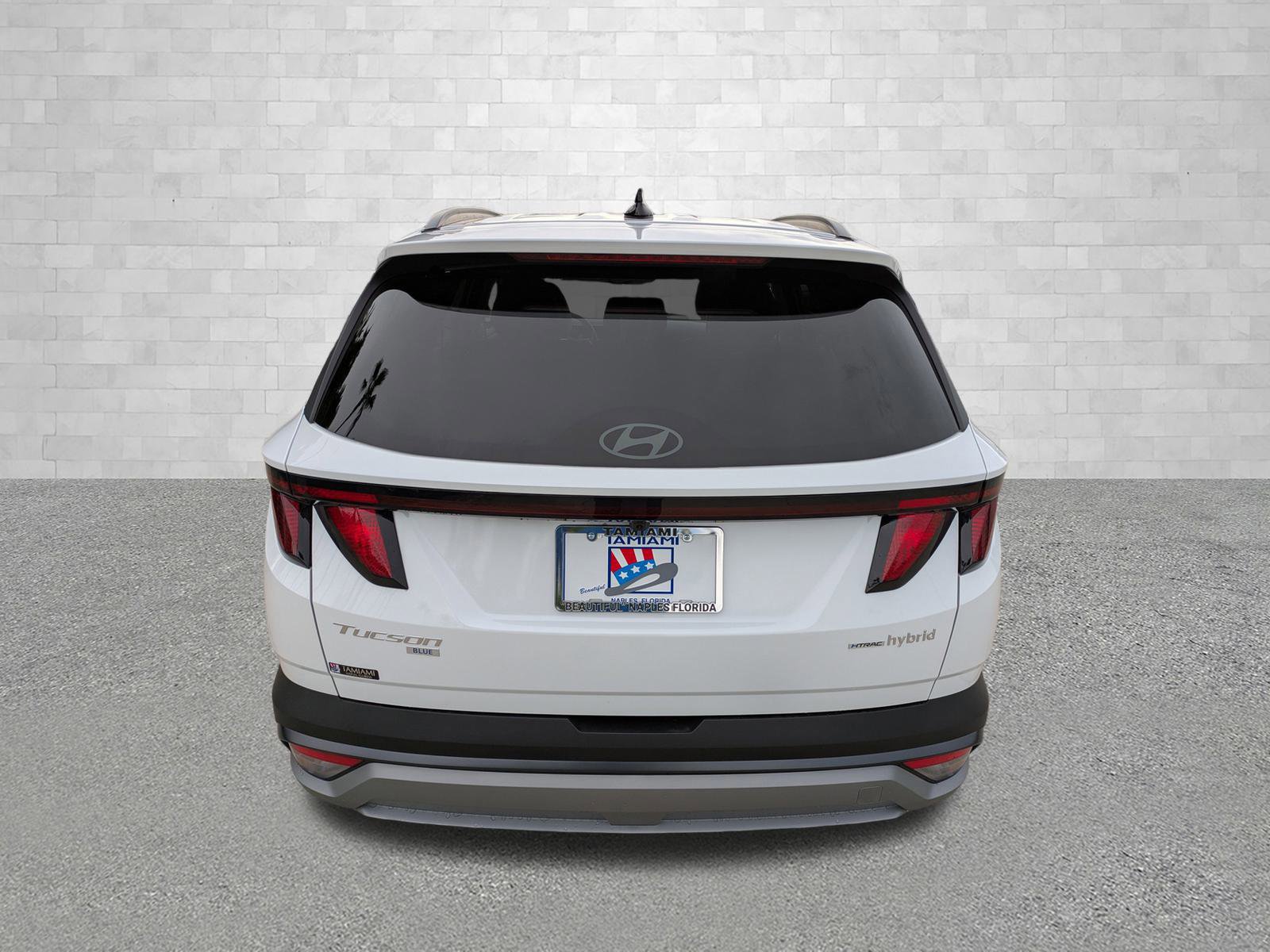 2025 Hyundai Tucson Hybrid Blue photo 3