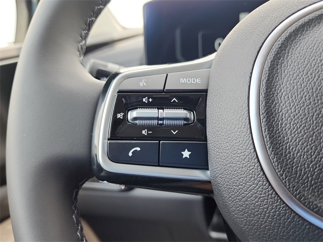 2026 Kia Carnival SX photo 23