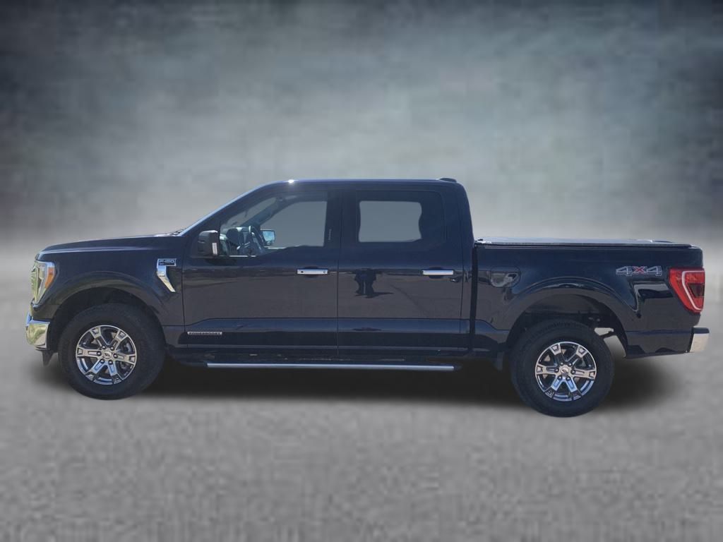 2023 Ford F-150 XLT photo 4