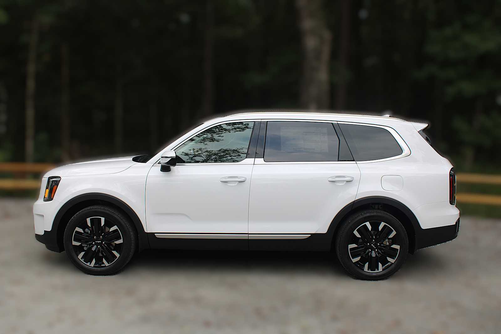 2025 Kia Telluride SX Prestige photo 4