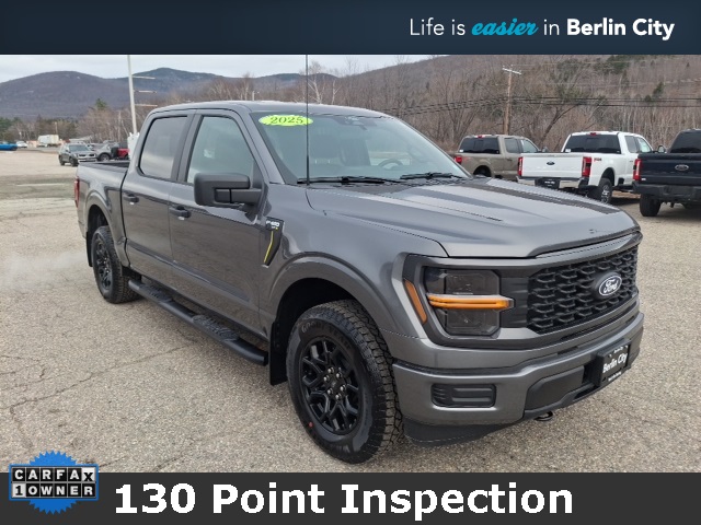2025 Ford F-150 STX's photo