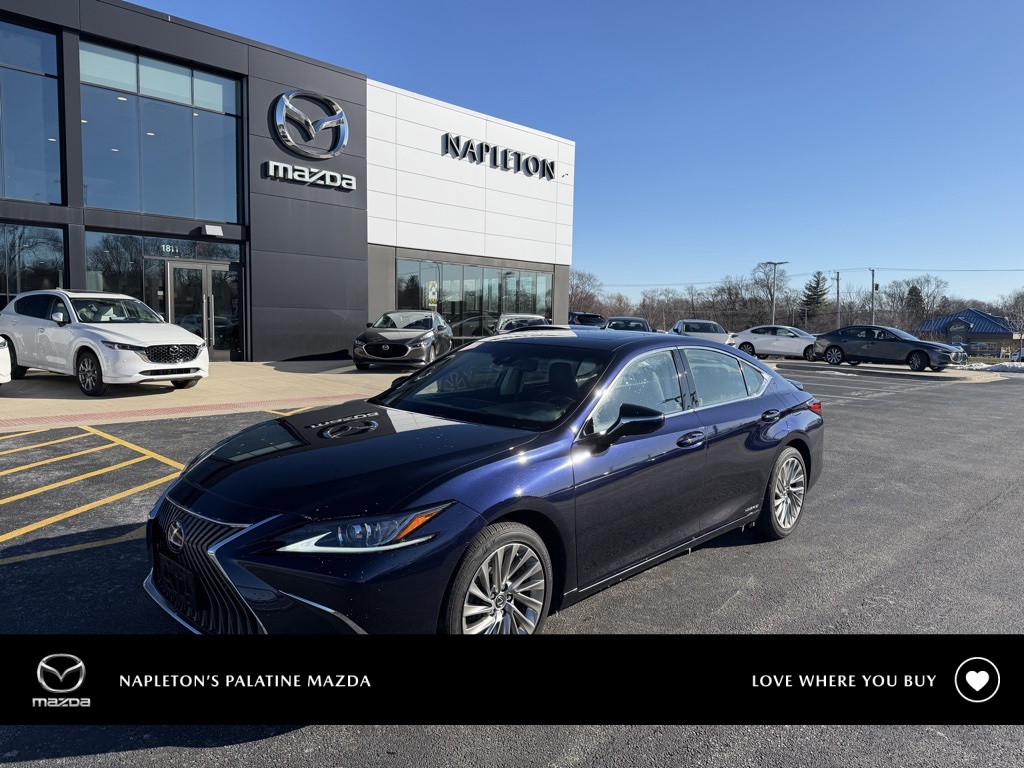 2019 Lexus ES Hybrid 300h Luxury's photo