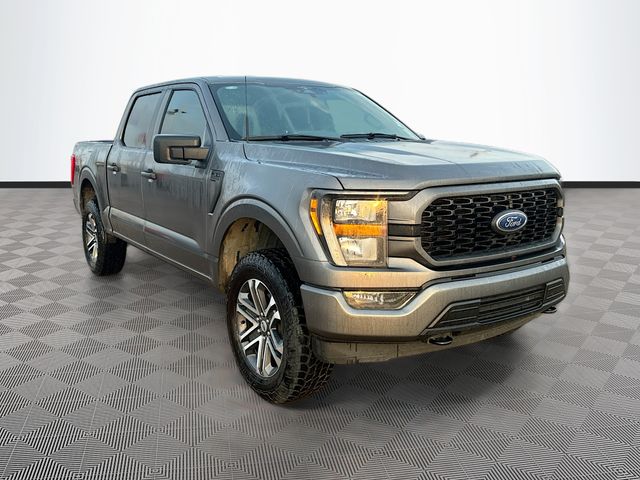 2023 Ford F-150 XL's photo