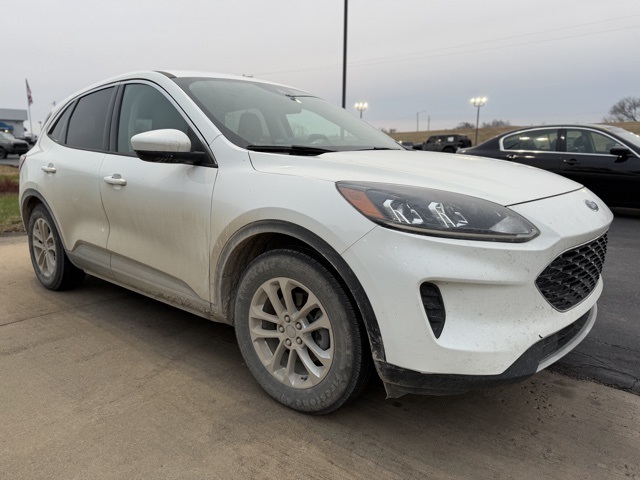 2020 Ford Escape SE's photo
