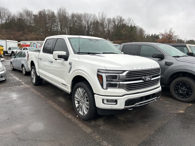 2024 Ford F-150 Platinum's photo