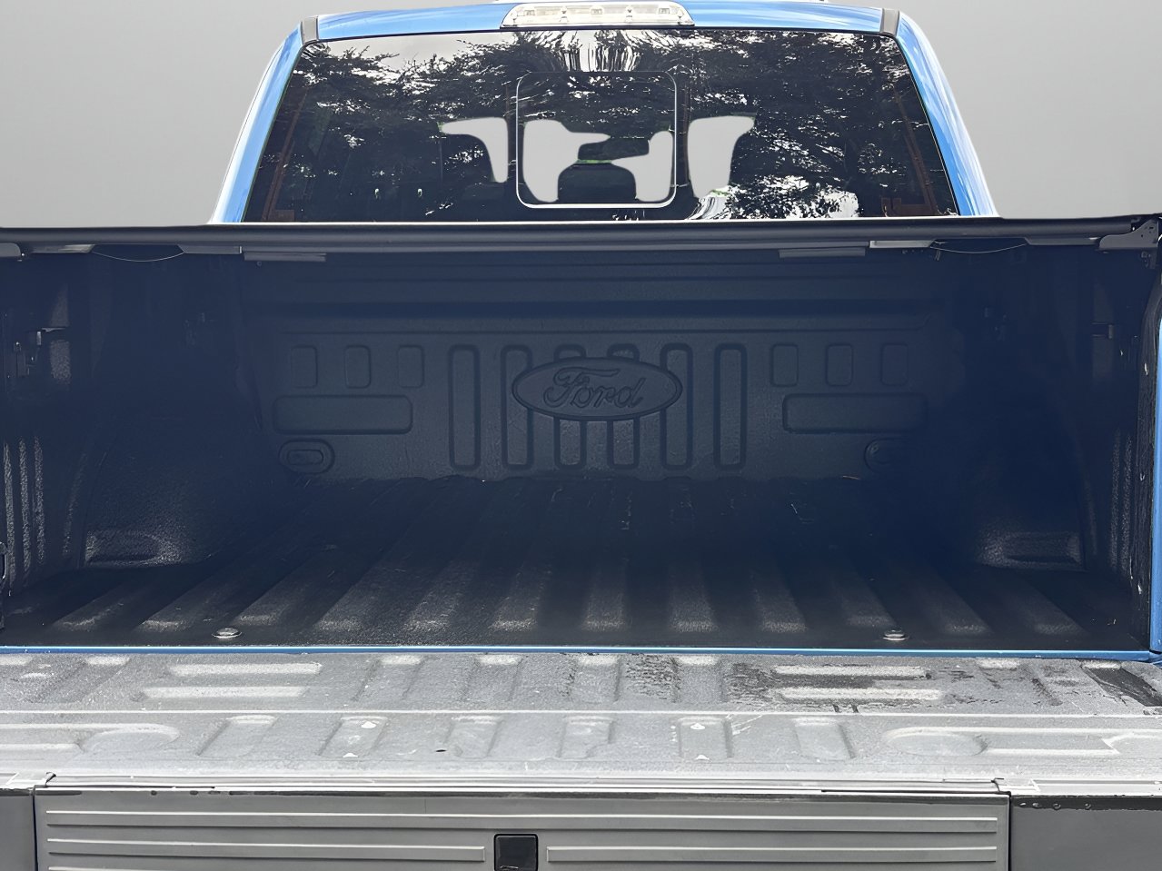2020 Ford F-150 Raptor photo 8