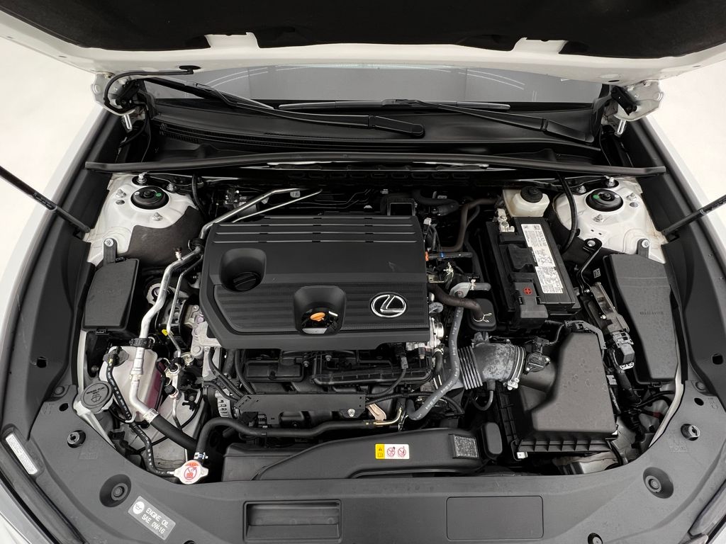 2022 Lexus ES 250 photo 30