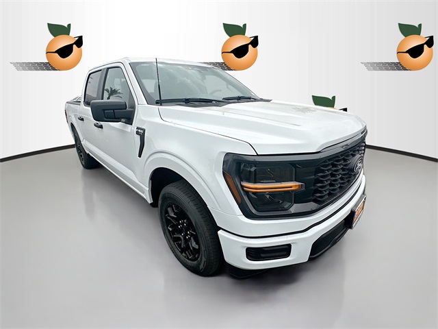 2025 Ford F-150 STX's photo
