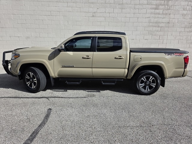 2019 Toyota Tacoma TRD Sport photo 2
