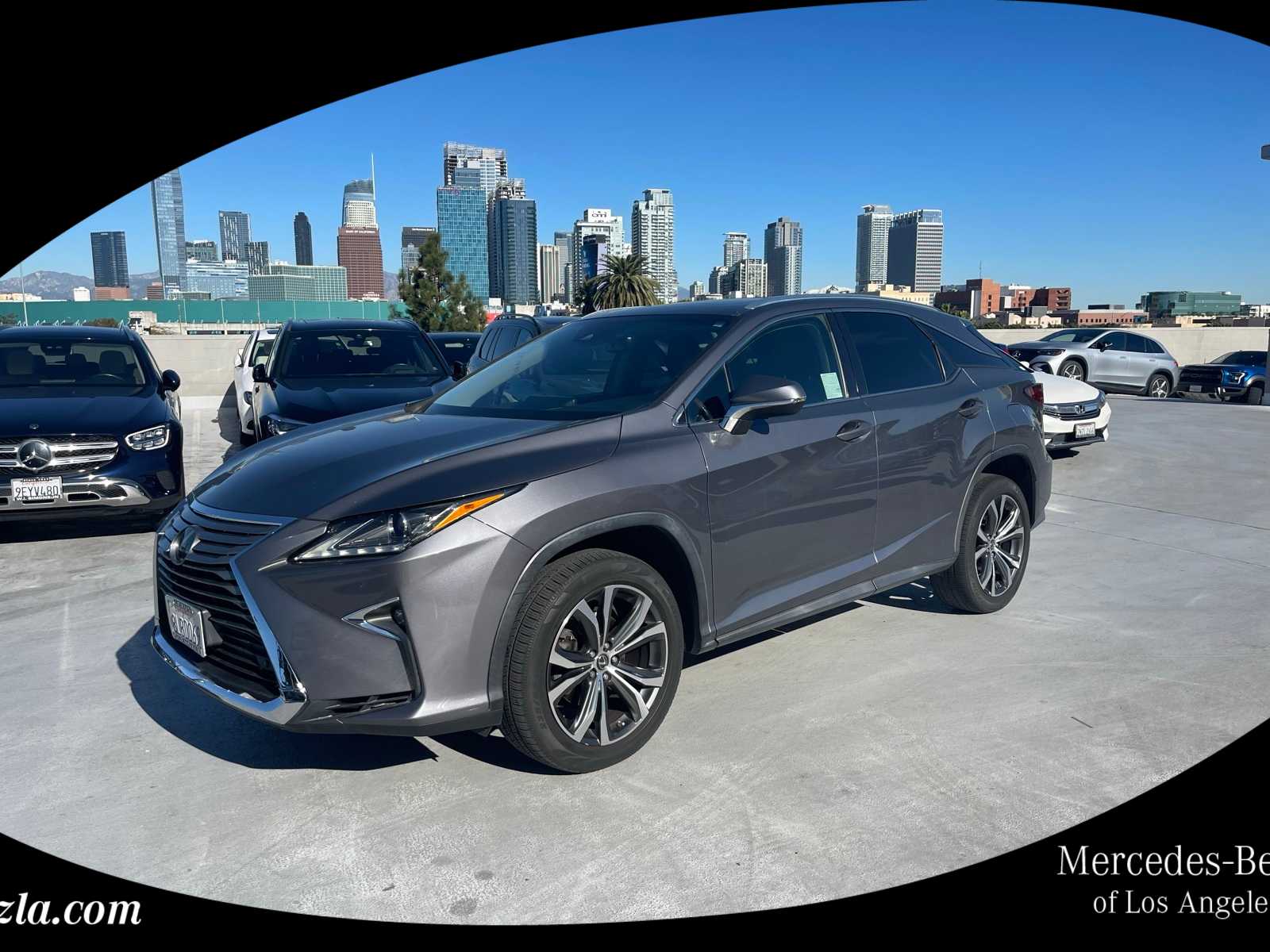 2019 Lexus RX 350's photo