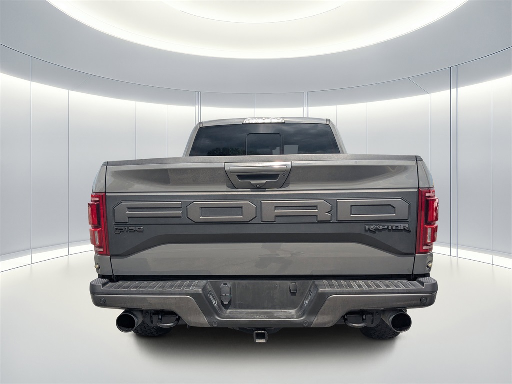 2020 Ford F-150 Raptor photo 5