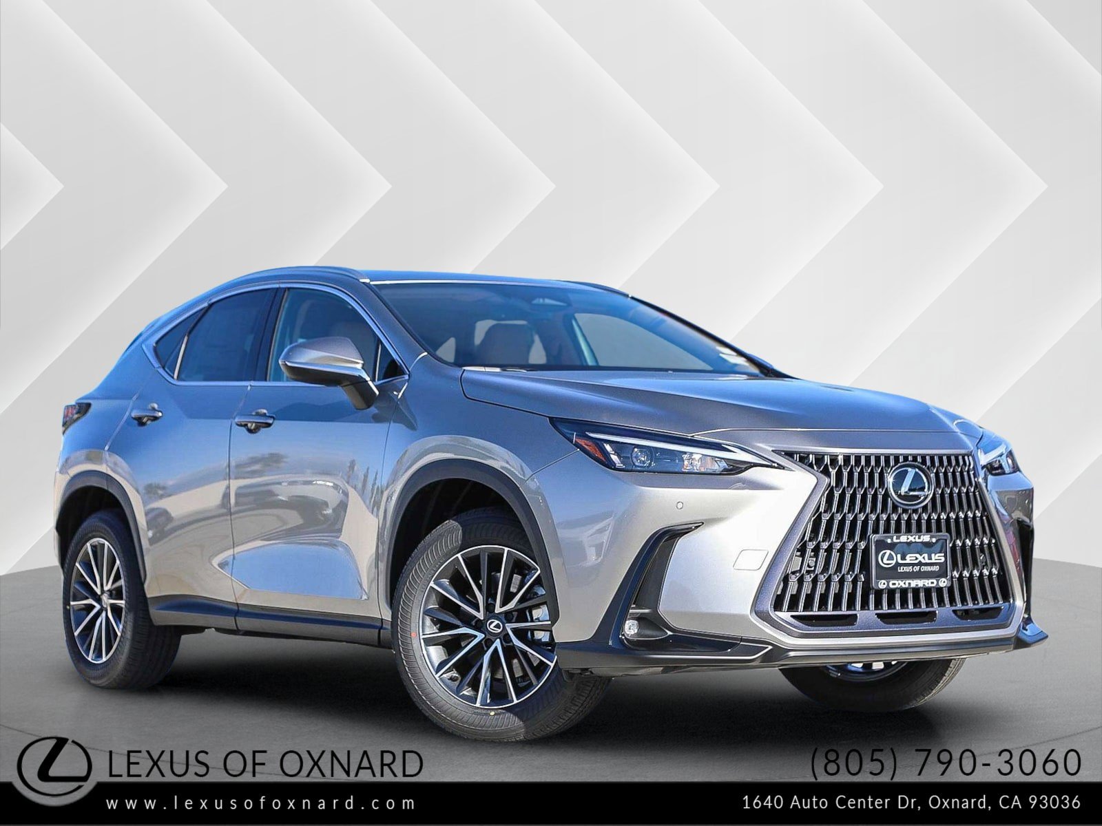 2026 Lexus NX 350's photo
