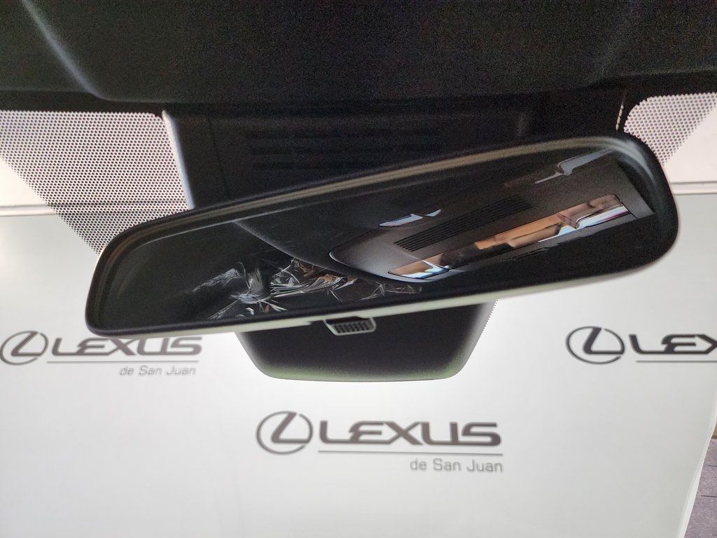 2025 Lexus UX photo 17