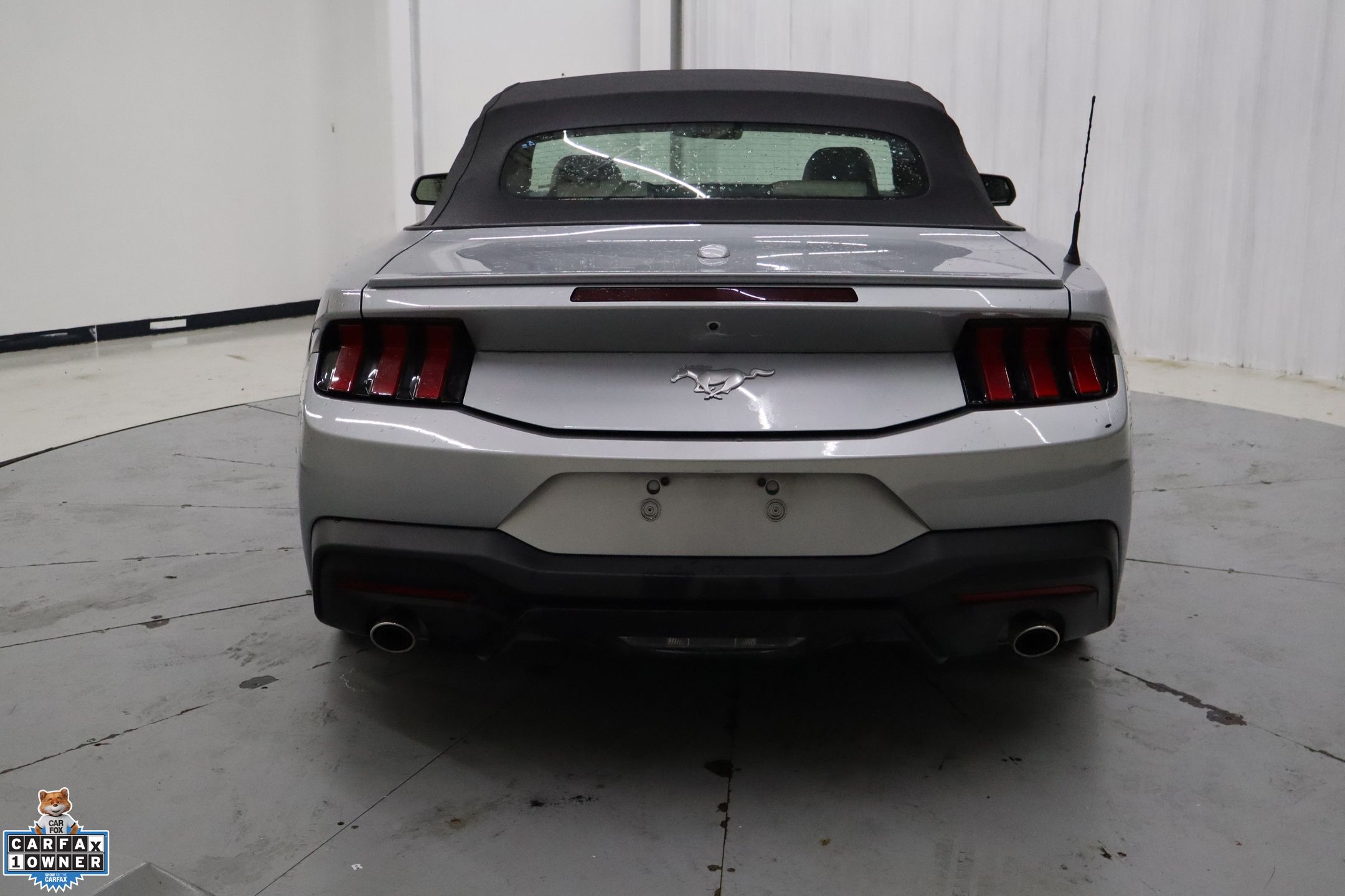 2024 Ford Mustang EcoBoost Premium photo 4