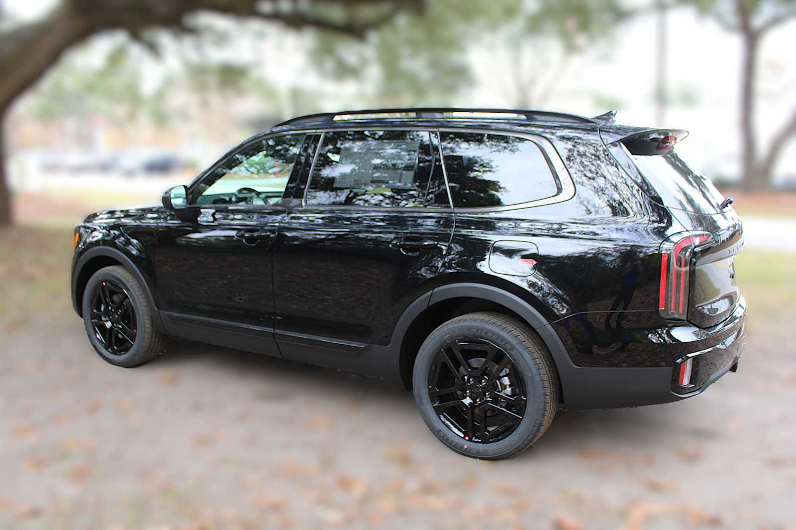2025 Kia Telluride EX X-Line photo 13