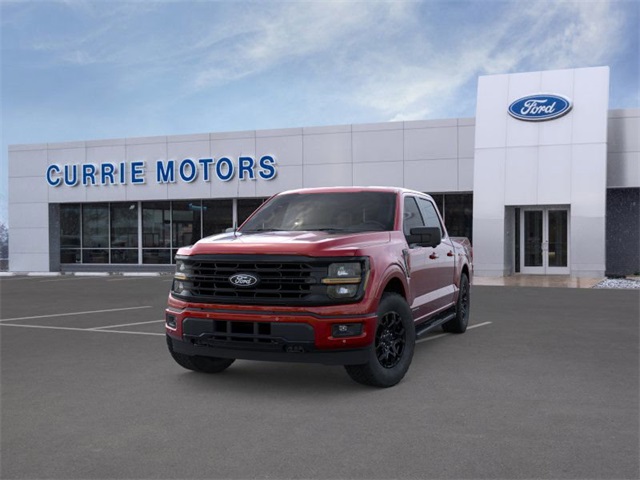 2025 FORD F-150 - Image 24
