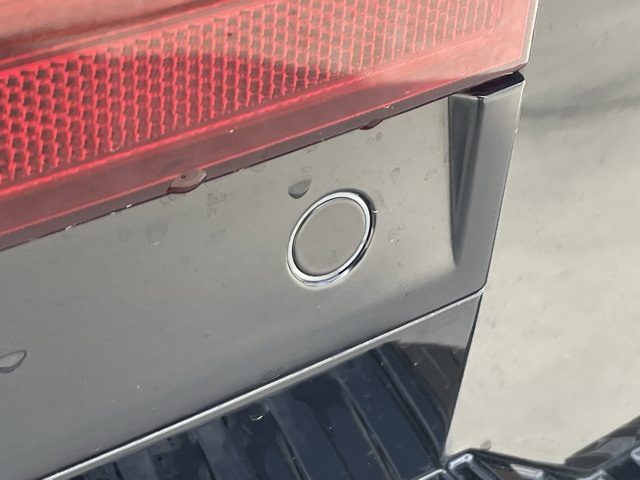 2025 Hyundai Santa Fe Calligraphy photo 6