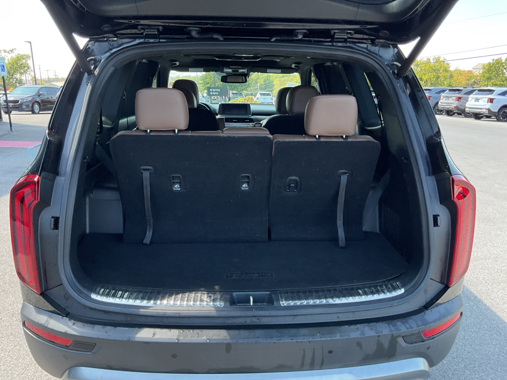 2021 Kia Telluride SX photo 16