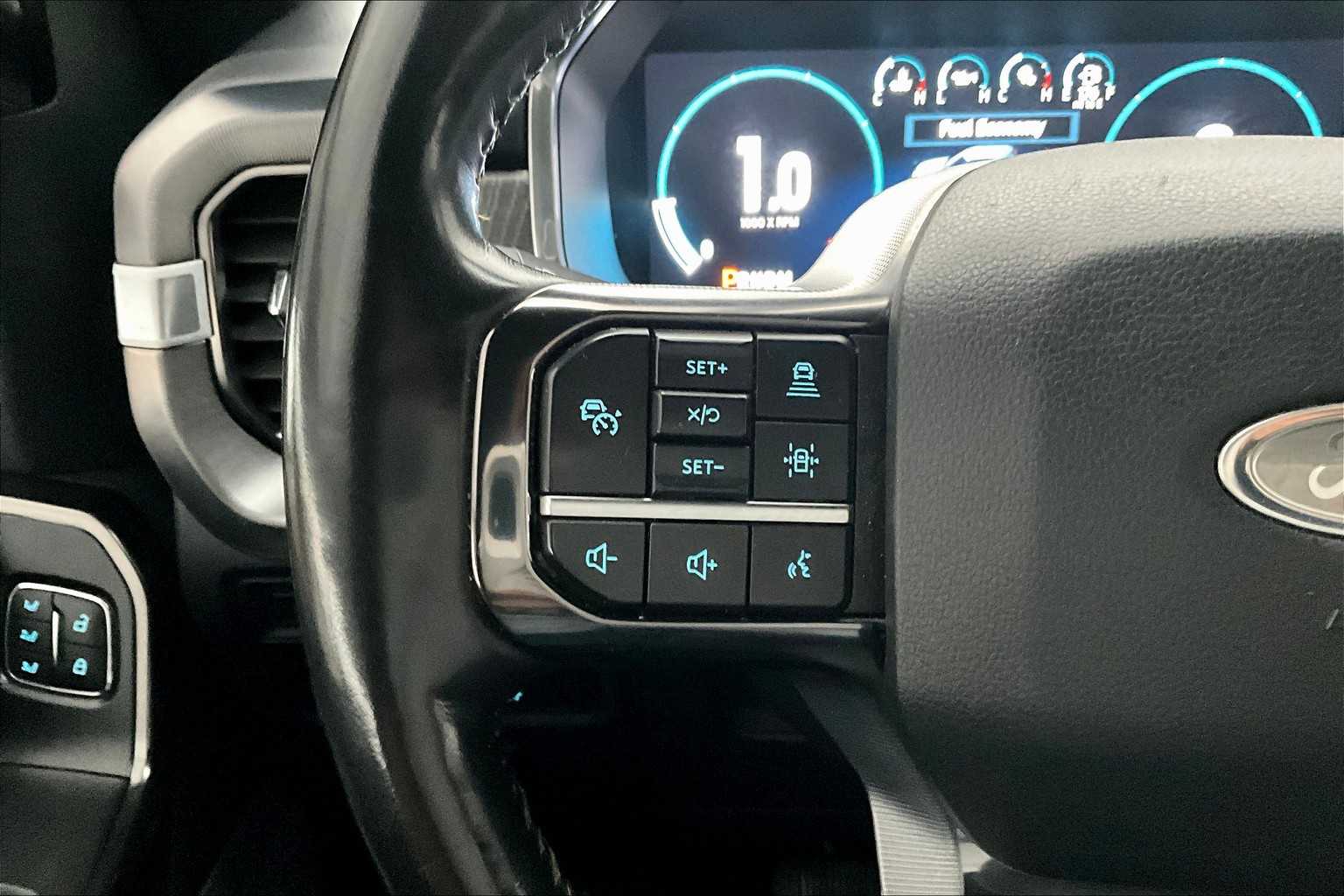 2021 Ford F-150 Platinum photo 19